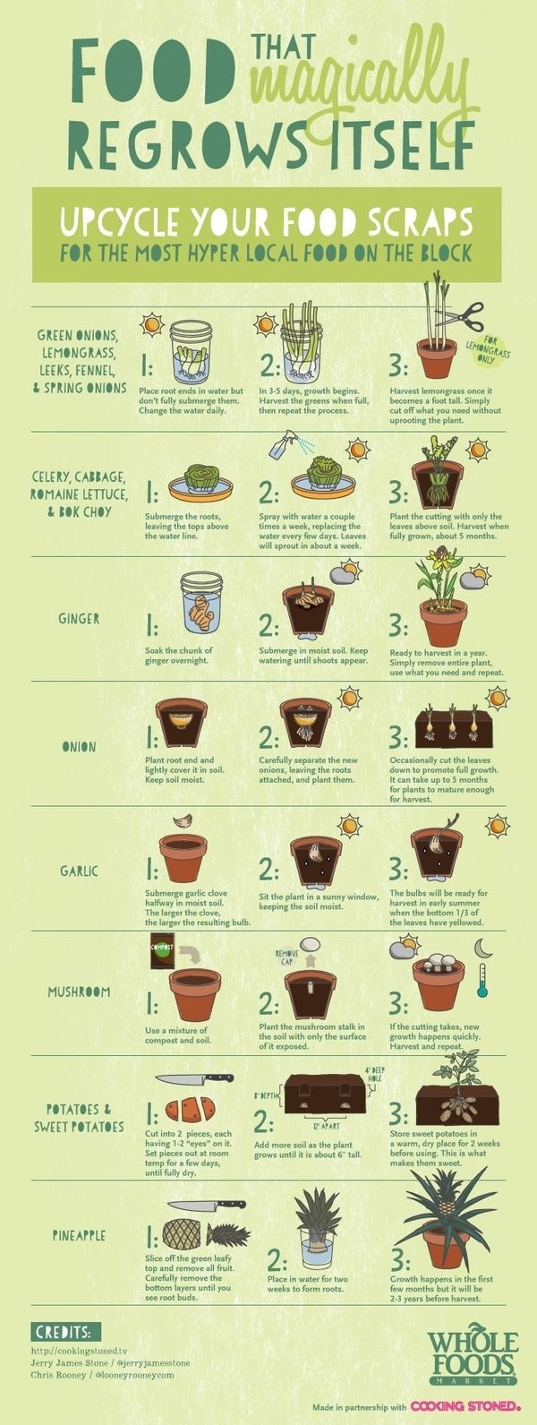 Reciclando vegetales